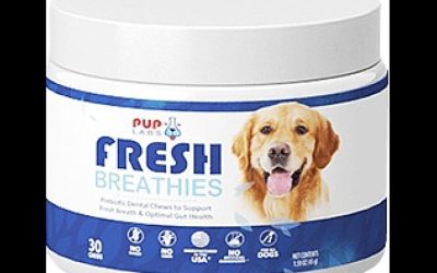 Fresh Breathies Reviews (2022) – Does Pub Labs Fresh Breathies Chew Gummies Really Work? Must Read This Before Buying!