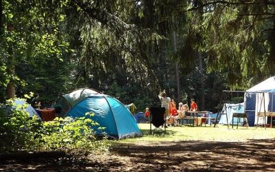How to choose a summer camp for children?