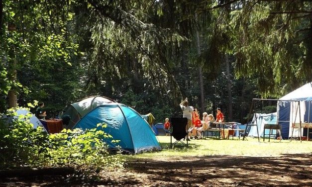 How to choose a summer camp for children?