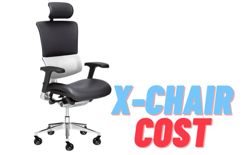 X Chair Cost: Is the Elemax Worth the Price?