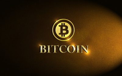 Bitcoin Investment Progress for this Decade in Sudan
