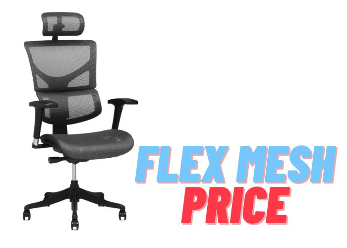 Are X-Chairs Worth the Cost?