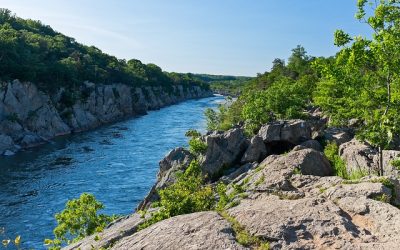 Maryland’s waterways contain high levels of ‘forever chemicals’ pollution