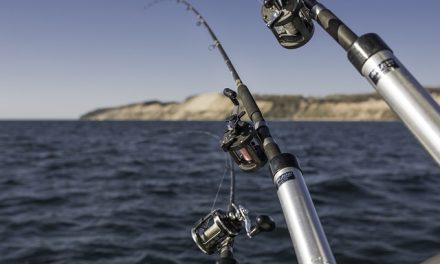 Your First Fishing Charter Boat: What to Expect