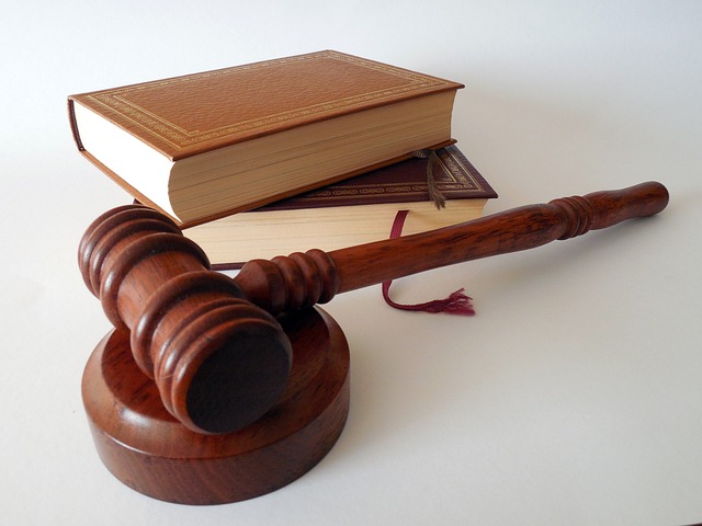 Define: Litigation Lawyers