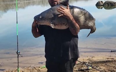 Maryland’s Moore seeks disaster aid for Chesapeake Bay invasive fish