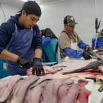 State Roundup: BGE’s latest rate hike request faces opposition; Howard steps up to aid suicide call center after feds cut funds; Eat More Blue Catfish!