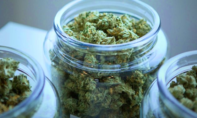 Key Things Florida Shoppers Look For in Quality Cannabis Dispensaries