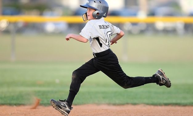 Could the new minor-league baseball team bring Little League spirit back to Hagerstown?