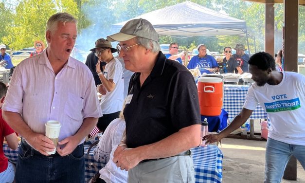 Senate hopefuls heat up race at steamy Democratic picnic