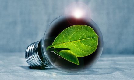 How Businesses Can Implement Real Eco-friendly Change?