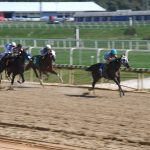 Laurel Park: How It Became A Staple Of US Racing?