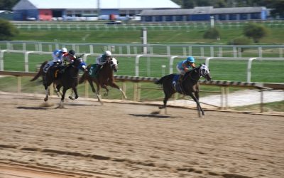 Laurel Park: How It Became A Staple Of US Racing?