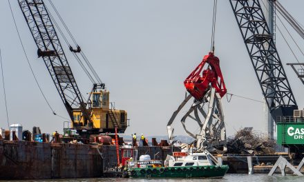 Maryland sues ship owners for Baltimore bridge disaster 