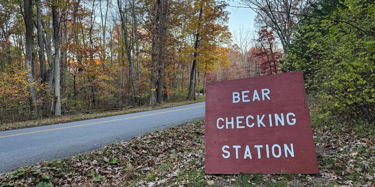 Maryland’s bear-hunting season opens with gusto and concern