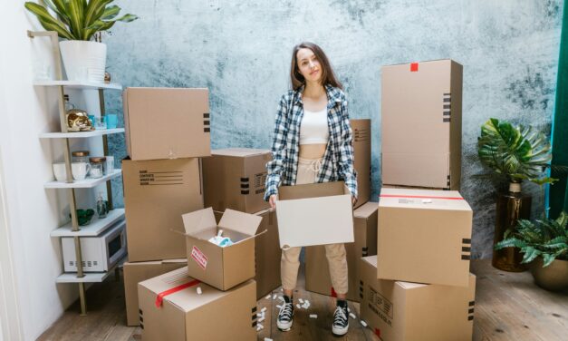 Top Tips for a Smooth and Efficient House Shifting Experience