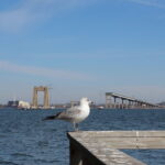 State Roundup: Standard & Poor downgrades outlook for transportation bonds over Key Bridge funding uncertainty; laws arise targeting AI deepfakes