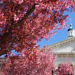 State Roundup: Senate OKs $71B spending plan, now heading to the House; BPW approves $1.2B for group home beds for foster kids