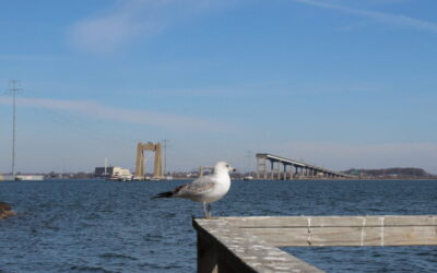 How the Key Bridge collapse upended workers far beyond the Baltimore region