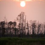Climate change is a local issue – and here’s what’s happening in every part of Maryland