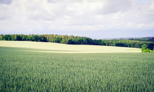 If Montgomery County Really Wanted Affordable Housing, It Would Open Up the Agricultural Reserve