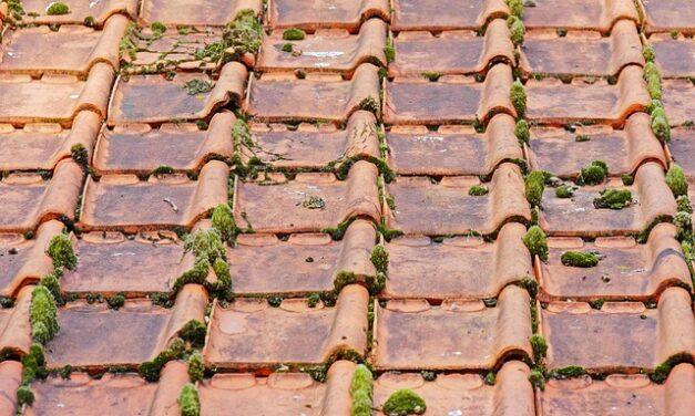 Why Hiring Roof Cleaning Experts Is Essential for Proper Home Maintenance