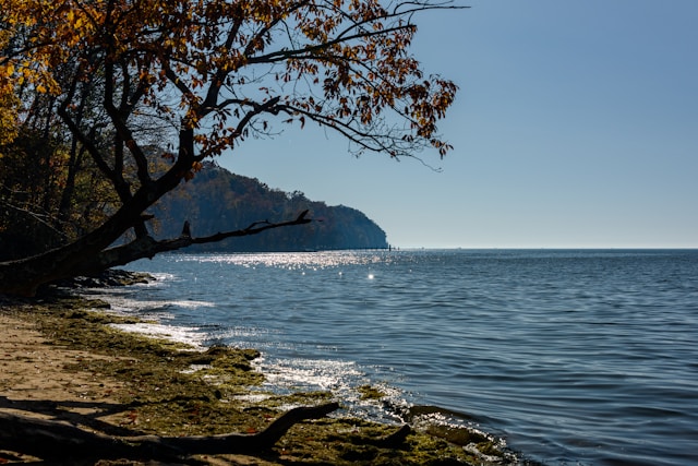 Trump administration policies pose threats to Maryland’s ambitious climate efforts