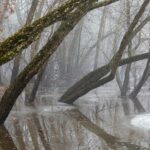 Property Damage from Recent East Coast Flash Flooding Nearing Historic Values