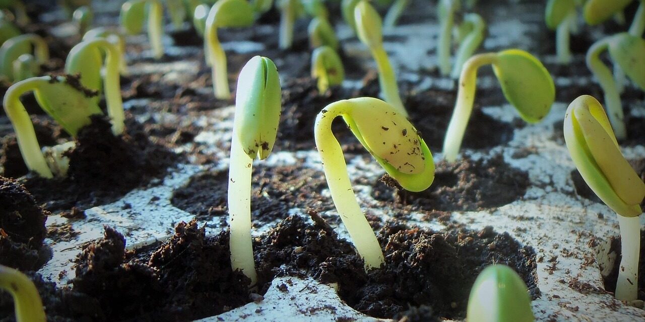 state roundup: 12,000 Md. soybean farmers caught in US-China trade war; moore invests $37M in affordable housing; former governors weigh in on national guard deployment.