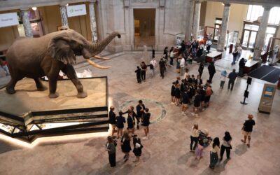 As federal government reopens, some popular tourist sites won’t welcome visitors until next week