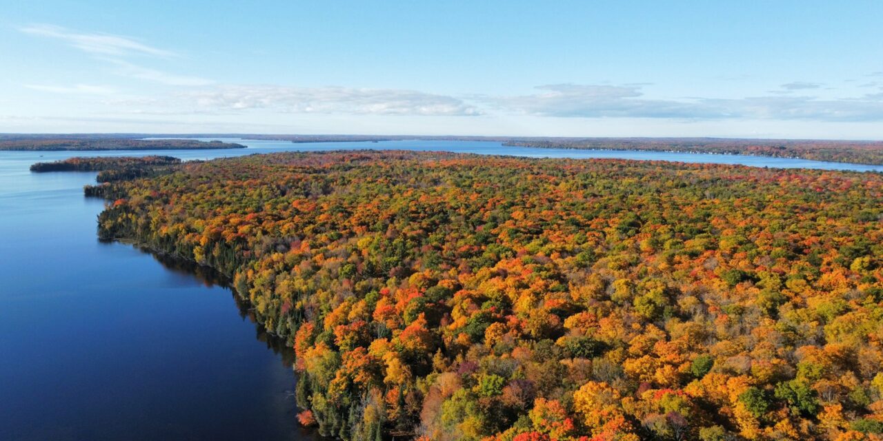 Exploring Balsam Lake in Ontario for a Traditional Cottage Experience