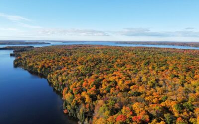 Exploring Balsam Lake in Ontario for a Traditional Cottage Experience