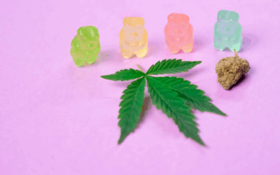 Delta-9 THC Gummies: How They Work and How to Use Them