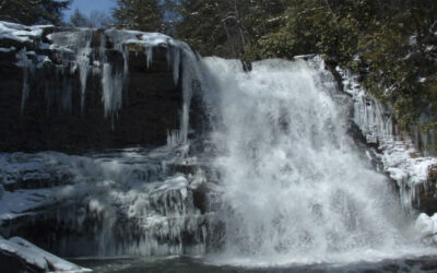 State Roundup: Public Defender’s Office to seek funds for more staff to meet caseload; Human Services Secty pleads guilty to DUI; embattled Baltimore Co. IG to take job in Howard