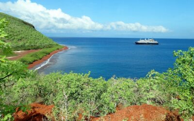 Top Itineraries for Exploring Galapagos in Style