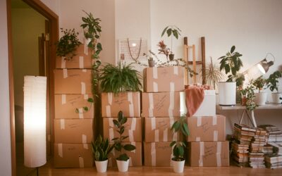 Bethesda Moving Experts: Local Advice for Stress-Free Relocation