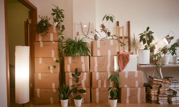 Bethesda Moving Experts: Local Advice for Stress-Free Relocation