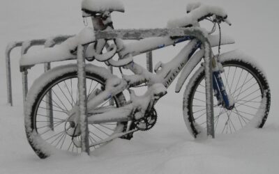 Safety and Risk Factors in Maryland Communities