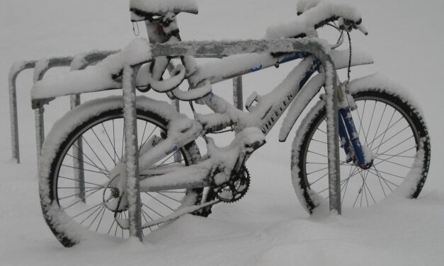 Safety and Risk Factors in Maryland Communities