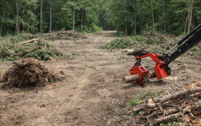 How Land Debris Is Handled After Clearing Projects and Why the Method Matters
