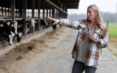 Cows provide both milk and power at this Cecil County farm
