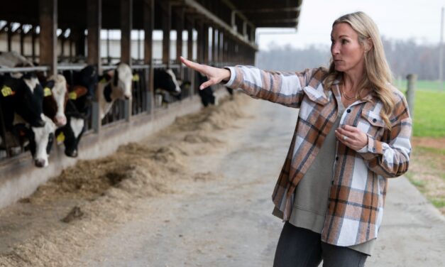 Cows provide both milk and power at this Cecil County farm