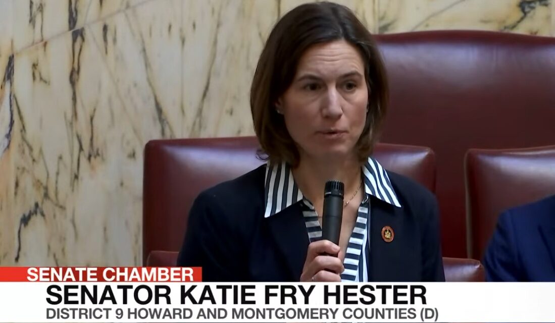 A busy Senator, Katie Fry Hester, tackles energy, artificial intelligence and cyber security and lots more