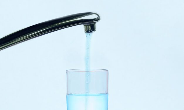 Best Salt-Free Water Filters in Florida –Top 3 Systems That Actually Work