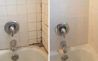 NuroClean Reviews: Must Read Before Buying NuroClean Mold Remover Gel!
