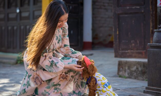 Do Dog Supplements Really Work? A Closer Look at Safety, Quality, and Health Benefits