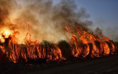 state roundup: air quality worsens; voter rolls are secure says DeMarinis; gop candidate cox to distance himself from trump’s election denial; house split on permanent daylight savings time