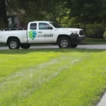 EcoShield’s D.C. Branch: Serving One of America’s Most Diverse Communities