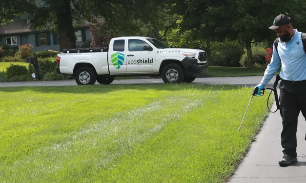 EcoShield’s D.C. Branch: Serving One of America’s Most Diverse Communities