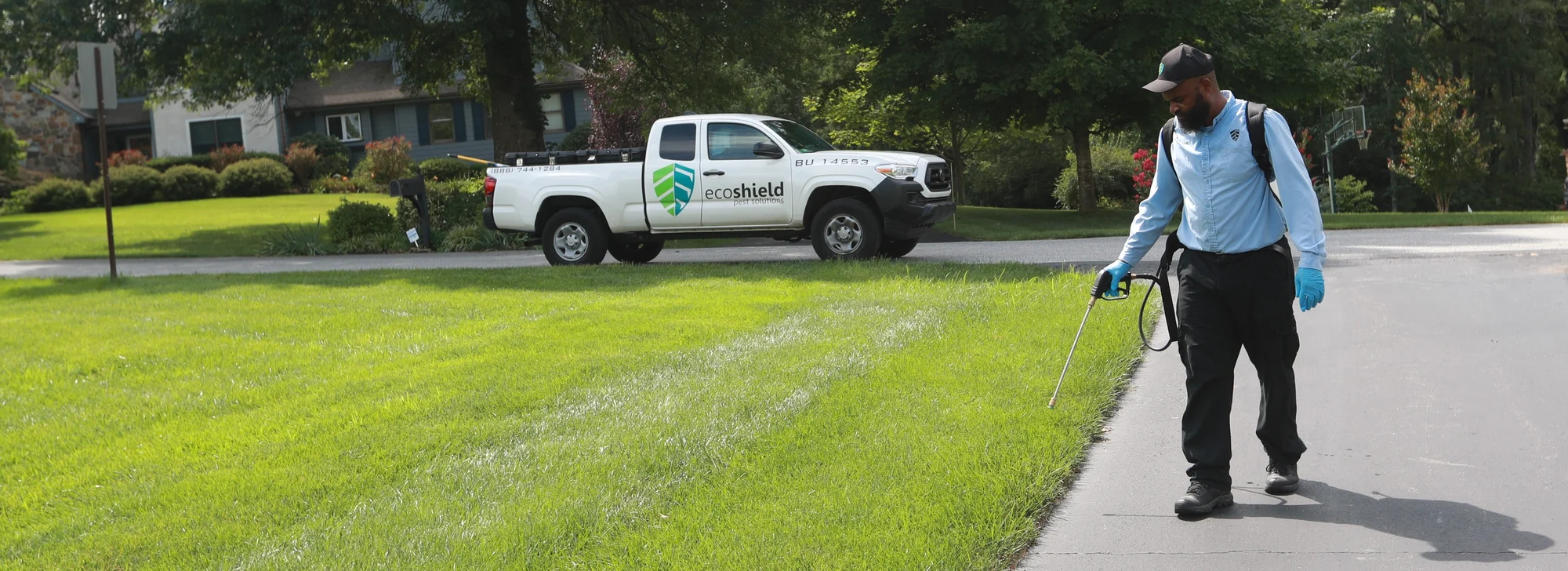 EcoShield’s D.C. Branch: Serving One of America’s Most Diverse Communities